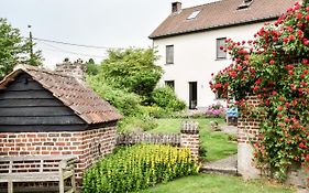 B&B Plattestien